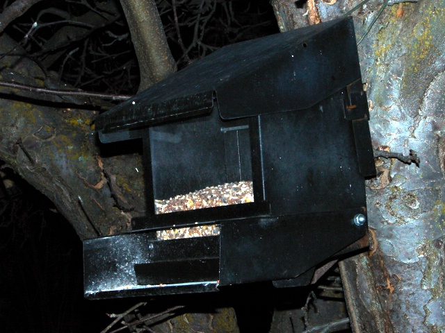 Click to view larger image of a hopper feeder, Photo Courtesy and Copyright 2008 Jim Cane