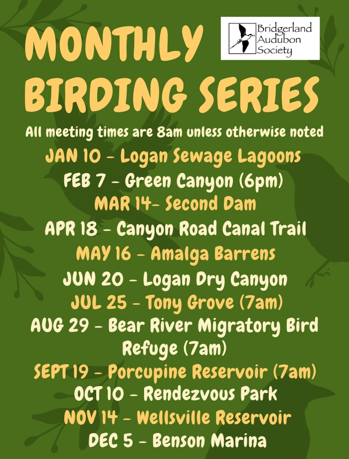 Click for more information in a new tab or window Birding with Bridgerland Audubon Field Trip Series