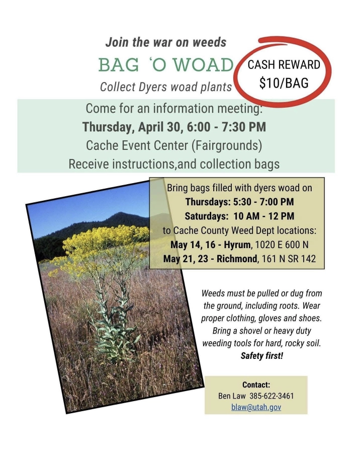 Click for more details in a new tab or window Bag-o-Woad Bounty Program, Cache County Weed Dept, Kickoff April 30, 2026, Dropoff Hyrum May 14, 16, Richmond, May 21, 23