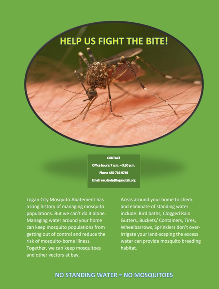 Birding with Bridgerland Audubon-Second Dam-March 14 Birding with Bridgerland Audubon-Second Dam-March 14