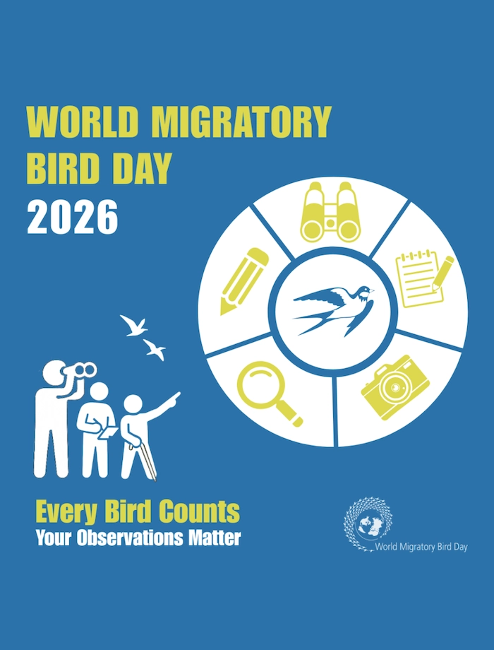 Click for more details in a new tab or window May 9 Every Bird Counts-Your Observations Matter 2026 Migratory Bird Day