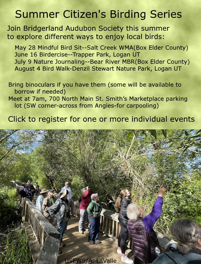 Click for more details Citizen’s Birding Series