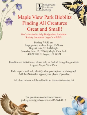 Click for more details in a new tab or window May 13 Logan Maple View Park Bioblitz