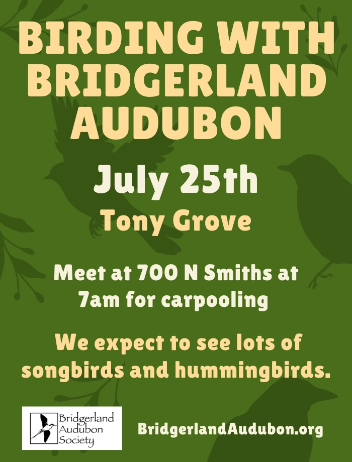 Click for more details Birding with Bridgerland Audubon – Tony Grove, Meet at Smith's Marketplace 700 N. Logan, 7:00 am July 25, 2026