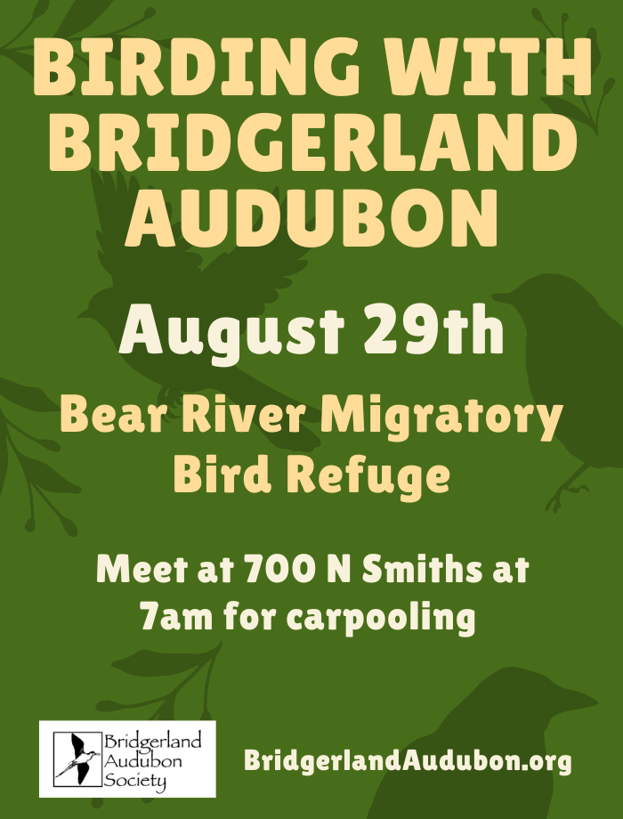 Click for more details Birding with Bridgerland Audubon – Bear River Migratory Bird Refuge, Meet to carpppl at Smith's Marketplace 700 N. Logan, 7:00 am August 29, 2026