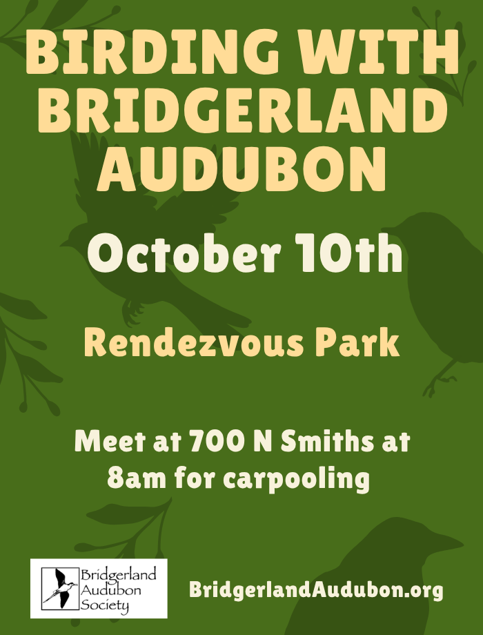 Click for more details Birding with Bridgerland Audubon – Rendezvous Park, Meet to carpool at Smith's Marketplace 700 N. Main, Logan, 8:00 am October 10, 2026