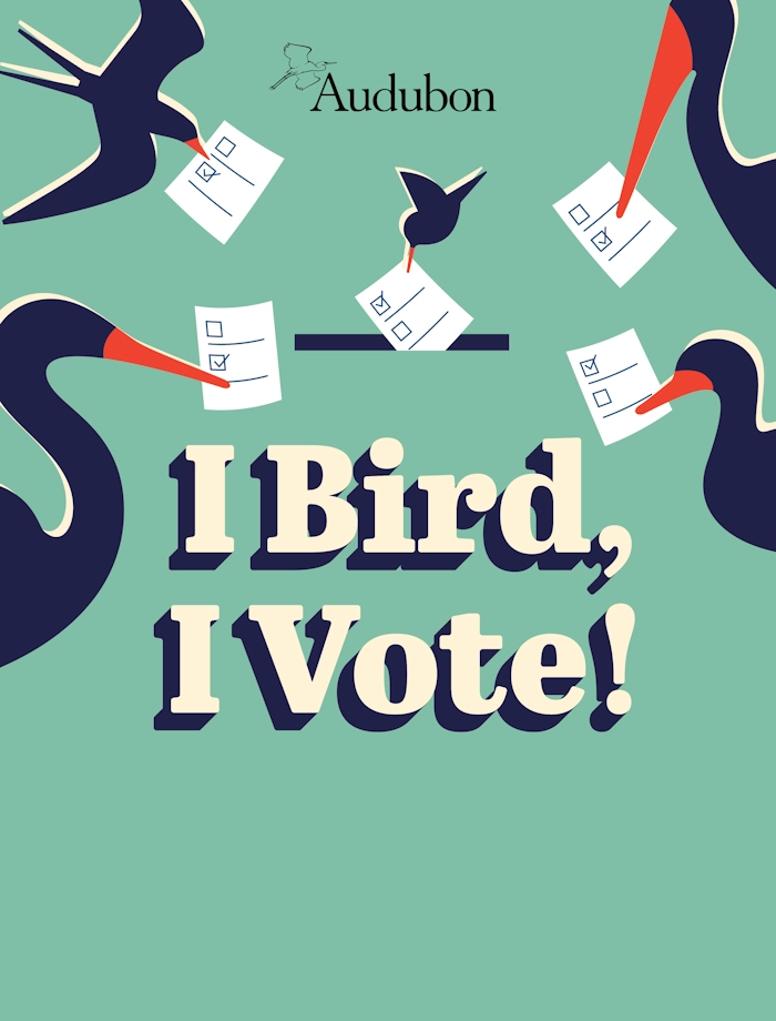 Click for more details I Bird, I Vote!, Pledge to Vote, Pledge to Vote